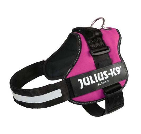 Harnais Power Fuchsia
