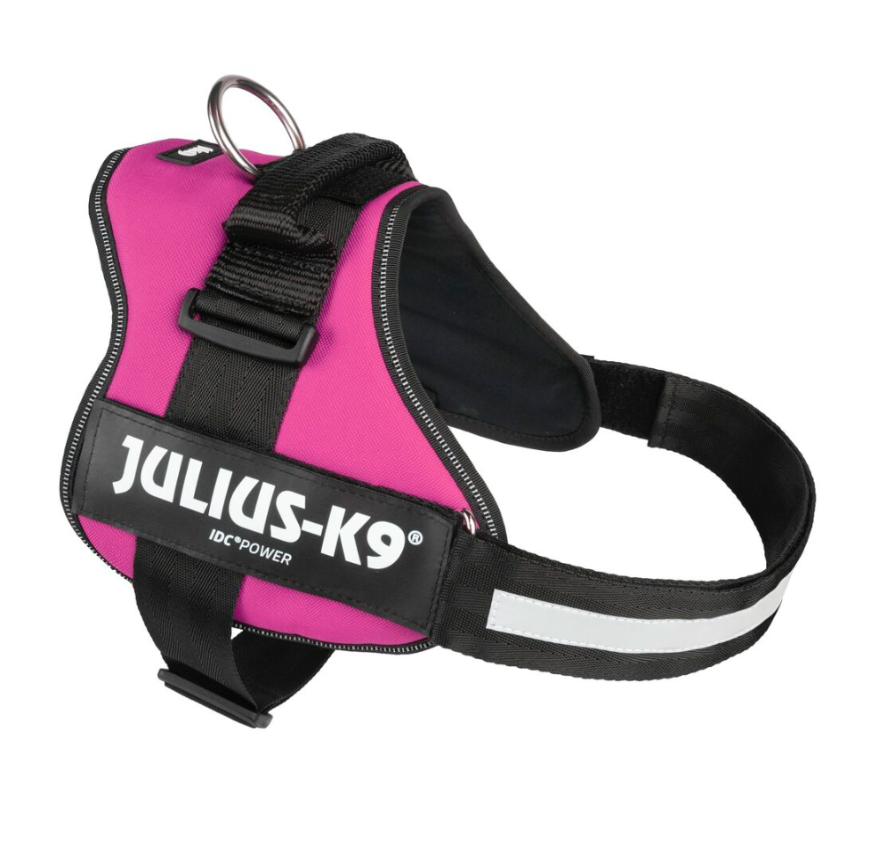Harnais Power Fuchsia
