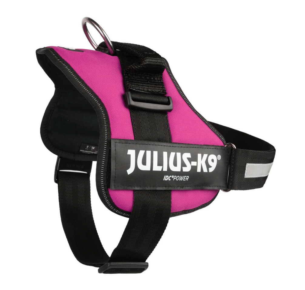 Harnais Power Fuchsia